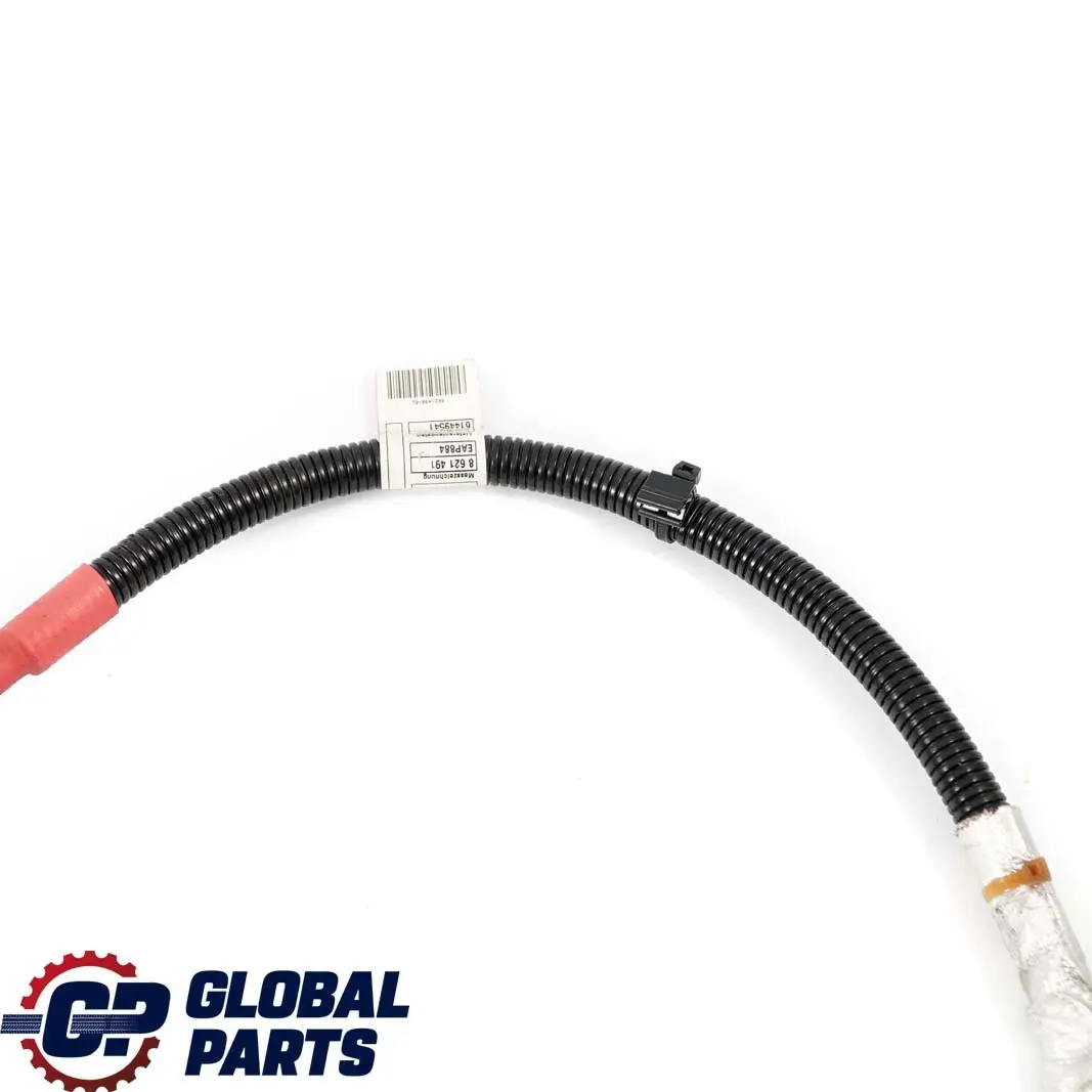 Cable Alternador BMW F21 F22 F30 LCI 125I 220I 228I 320I N20 Arranque 8621490