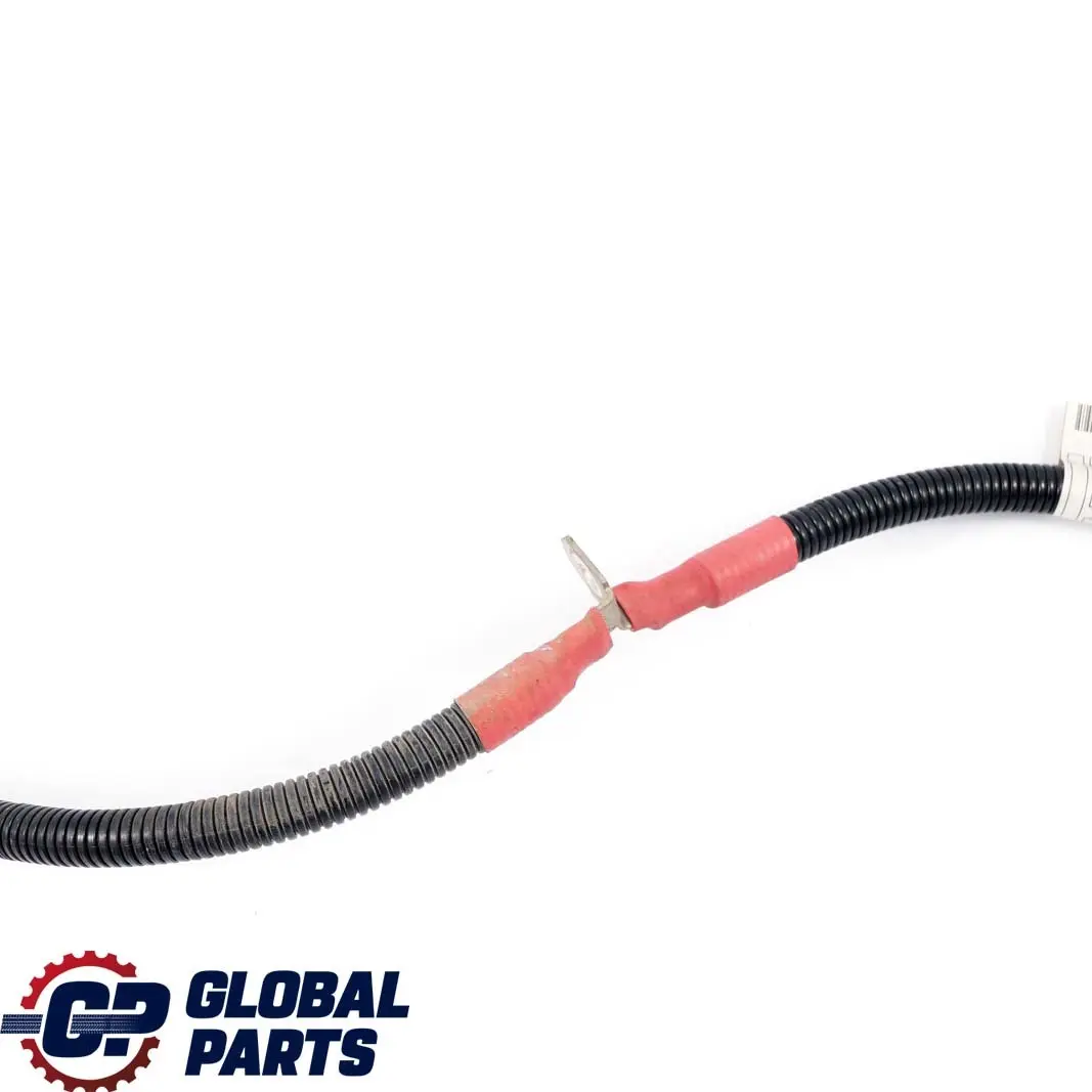Cable Alternador BMW F21 F22 F30 LCI 125I 220I 228I 320I N20 Arranque 8621490