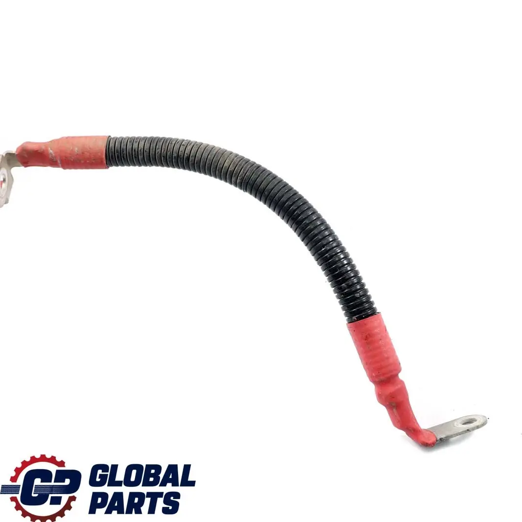 Cable Alternador BMW F21 F22 F30 LCI 125I 220I 228I 320I N20 Arranque 8621490