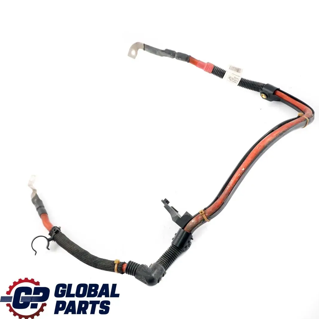 BMW F30 LCI Hibrido 330e Bateria De arranque Cableado De conexion 8676222