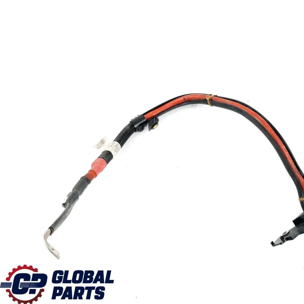 BMW F30 LCI Hibrido 330e Bateria De arranque Cableado De conexion 8676222