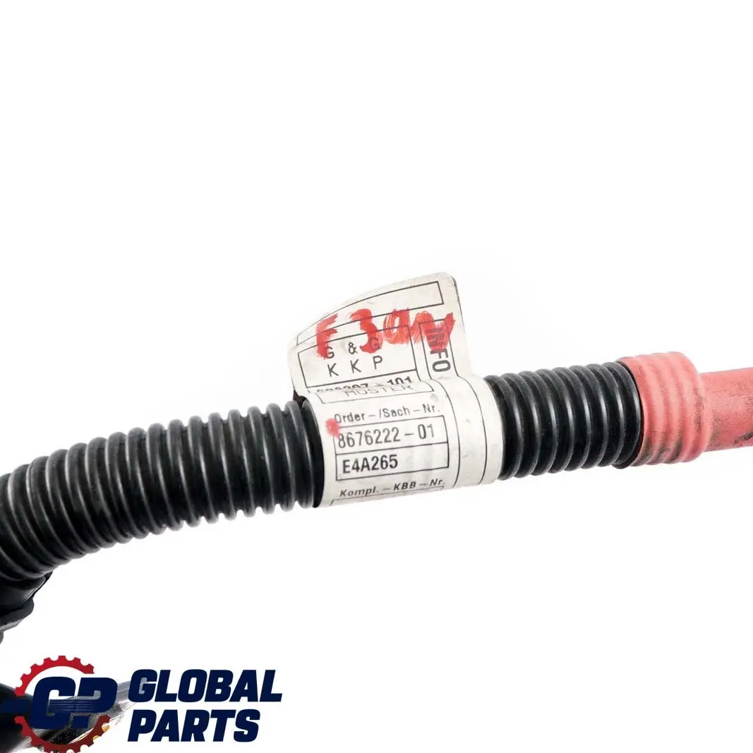 BMW F30 LCI Hibrido 330e Bateria De arranque Cableado De conexion 8676222