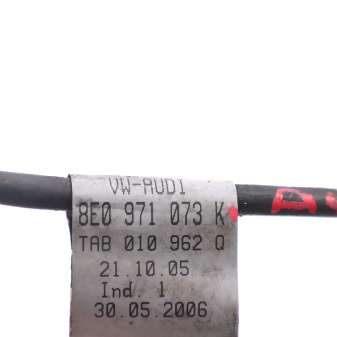 Audi A4 B7 Sensor Temperatura Cable Loom Cableado Unidad de Control 8E0971073K