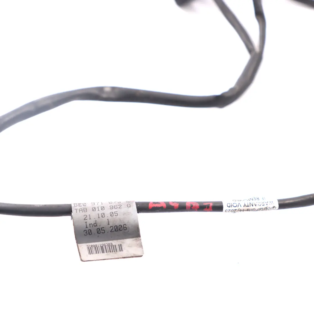 Audi A4 B7 Sensor Temperatura Cable Loom Cableado Unidad de Control 8E0971073K