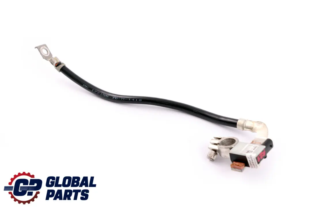 BMW 2 F20 F21 F22 F30 IBS Cable negativo De La bateria 9117877