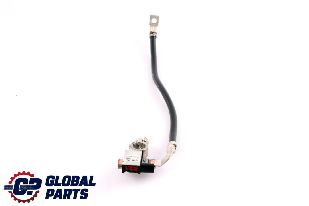 BMW 2 F20 F21 F22 F30 IBS Cable negativo De La bateria 9117877