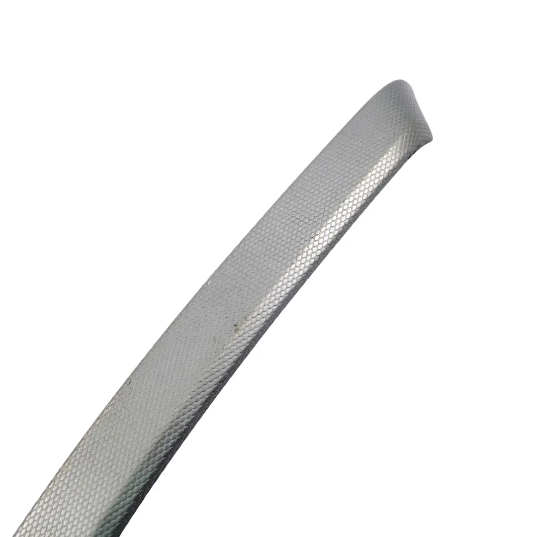 BMW E90 Aluminium Strip Trim Rear Right Door Glacier Silber Silver