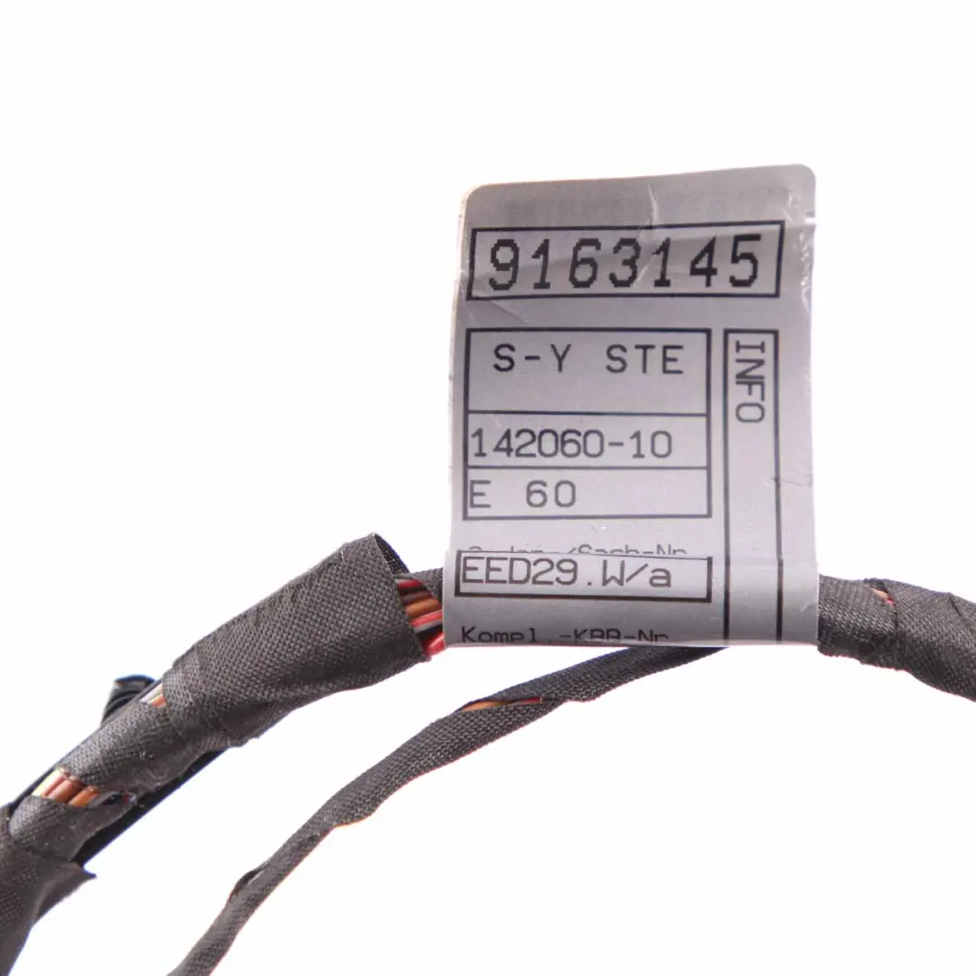 BMW E60 E61 Door Wiring Loom Harness Co-Drivers Passengers Side 9163145