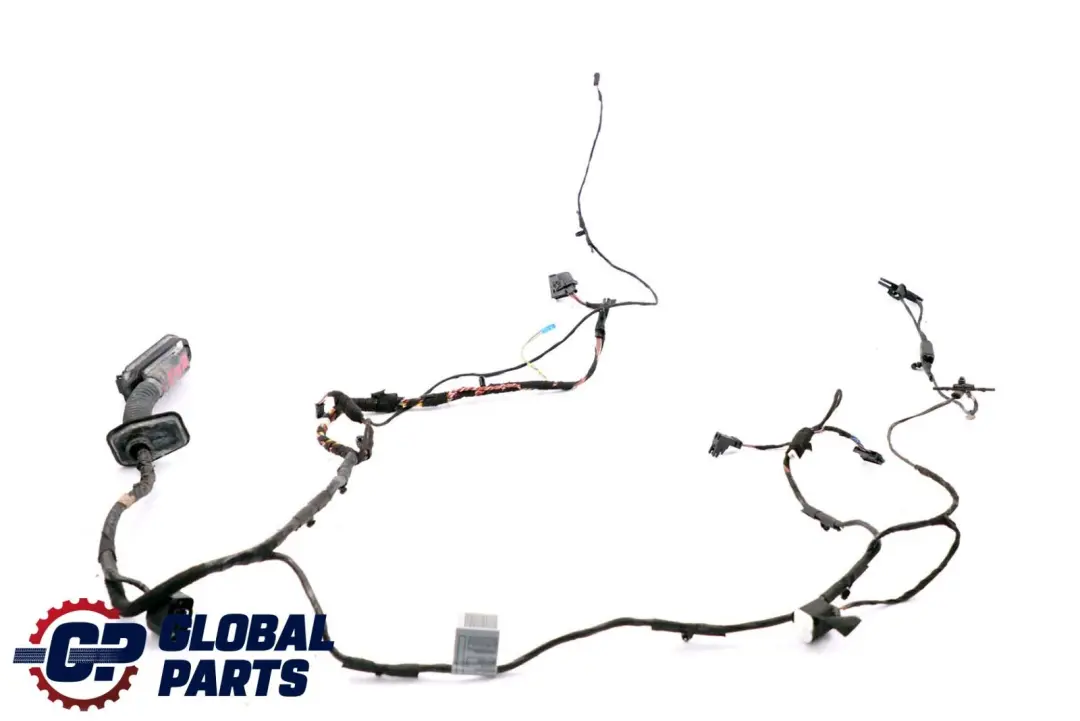 BMW X6 Series E71 Cable Loom Door Front Driver's Side Wiring Harness 6900920