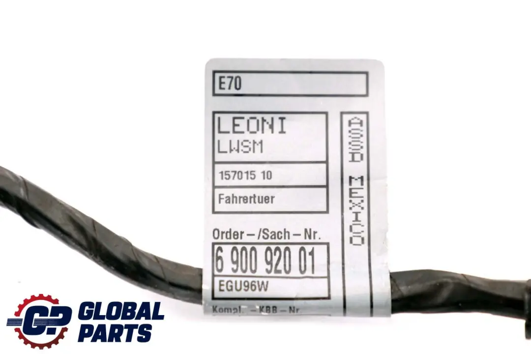 BMW X6 Series E71 Cable Loom Door Front Driver's Side Wiring Harness 6900920