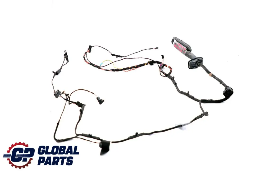 BMW X6 Series E71 Cable Loom Door Front Driver's Side Wiring Harness 6900920