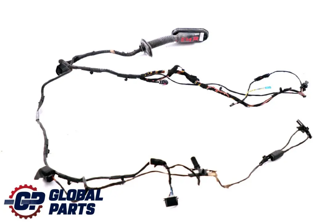 BMW X6 Series E71 Cable Loom Door Front Driver's Side Wiring Harness 6900920