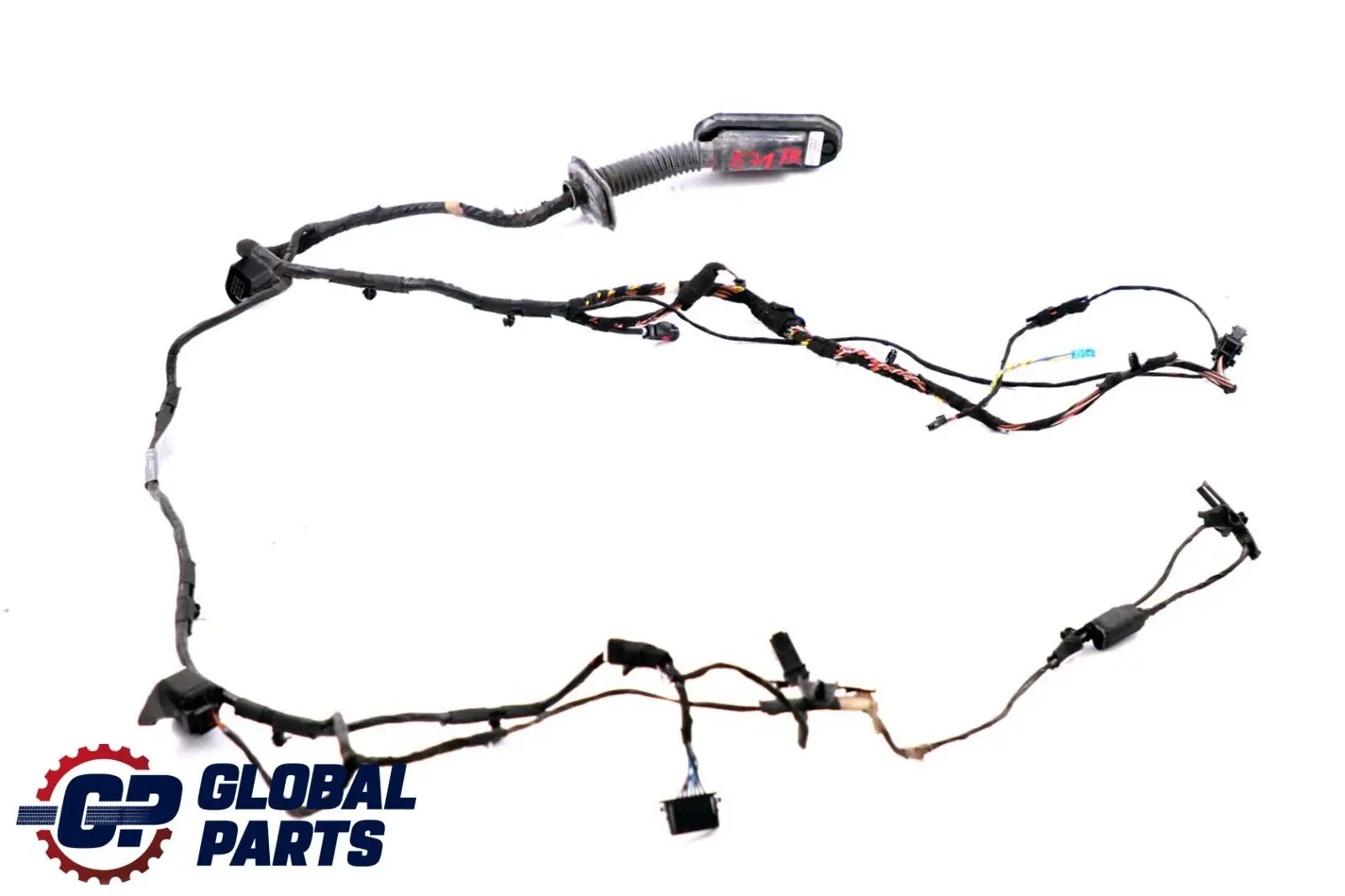 BMW X6 Series E71 Cable Loom Door Front Driver's Side Wiring Harness 6900920
