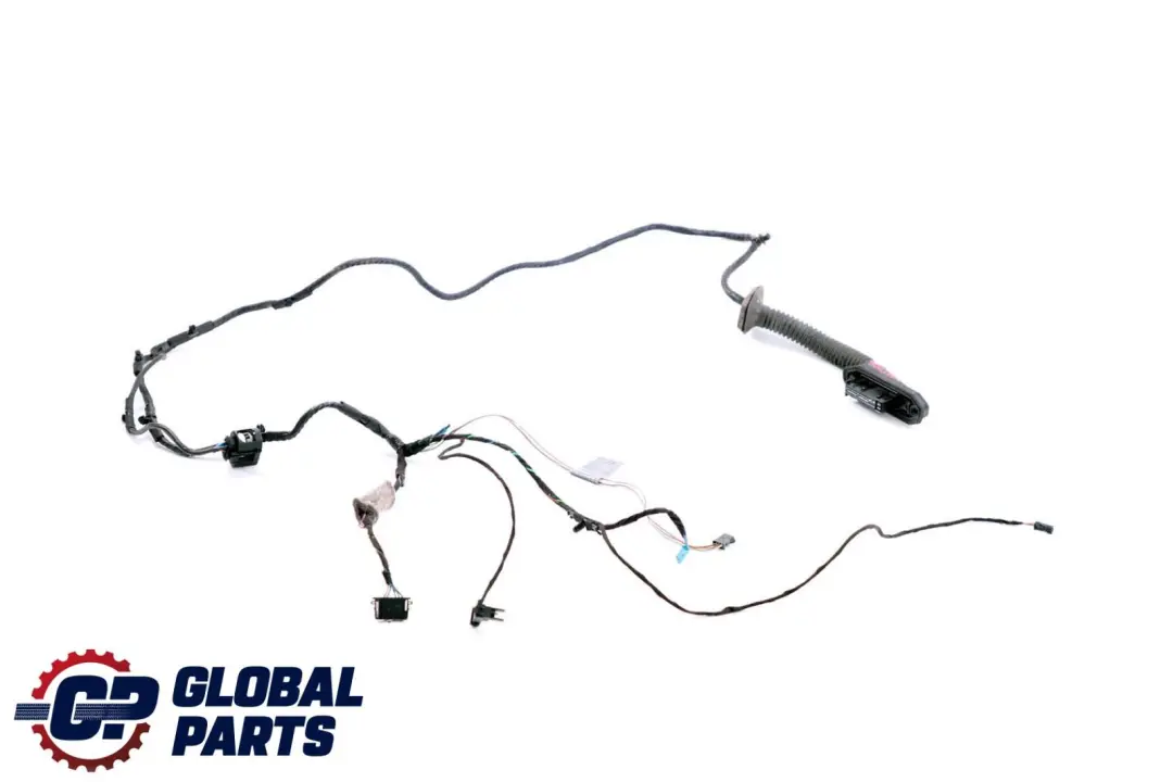 BMW X6 Series E71 Cable Loom Door Rear Left Right N/O/S Wiring Harness 9207860