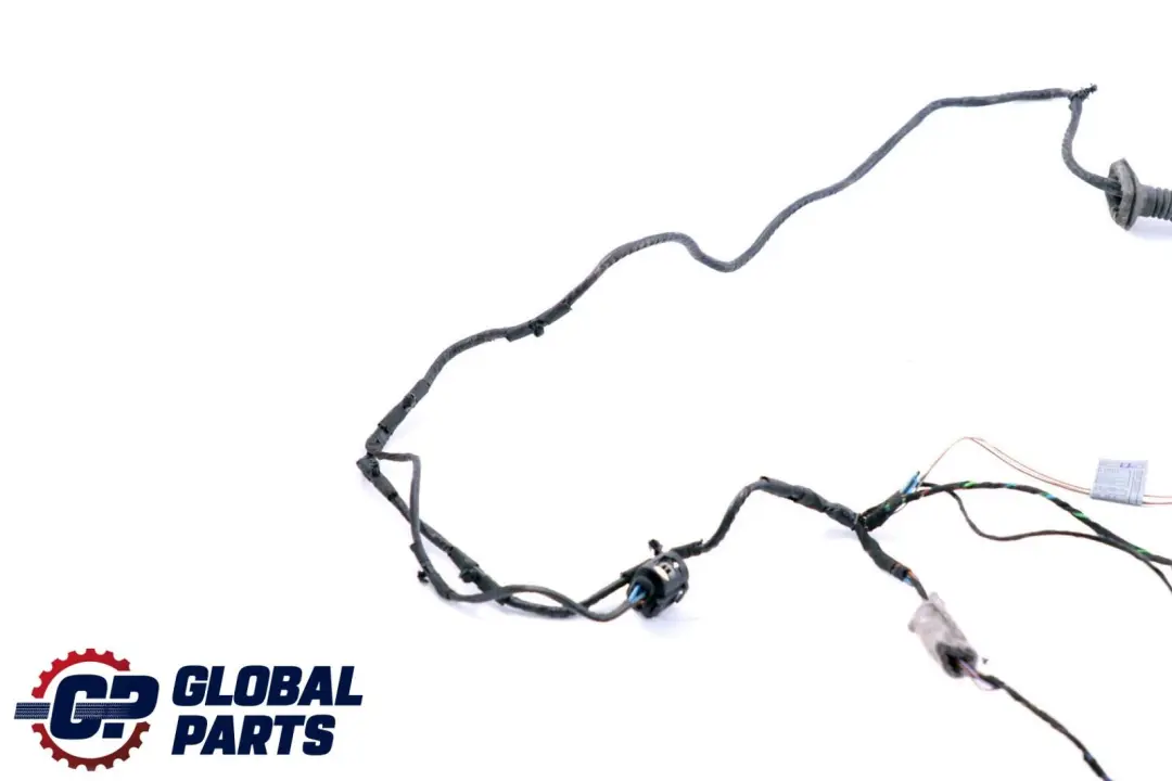 BMW X6 Series E71 Cable Loom Door Rear Left Right N/O/S Wiring Harness 9207860