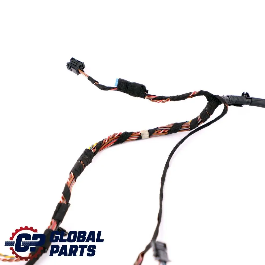 BMW X5 Series E70 Driver Side Front Right O/S Door Cable Harness Wiring 9207841