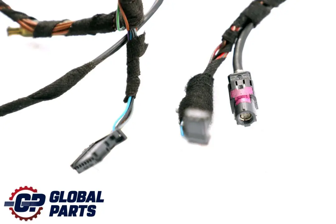 BMW X5 X6 Series E70 E71 Cable Loom Door Front Passenger Wiring Harness 6900922