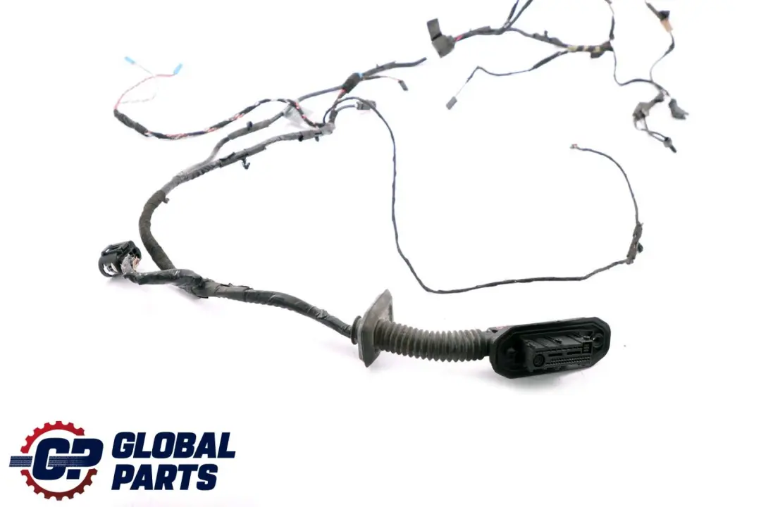 BMW X5 X6 Series E70 E71 Cable Loom Door Front Passenger Wiring Harness 6900922