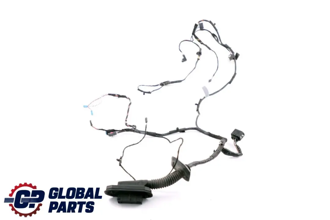 BMW X5 X6 Series E70 E71 Cable Loom Door Front Passenger Wiring Harness 6900922