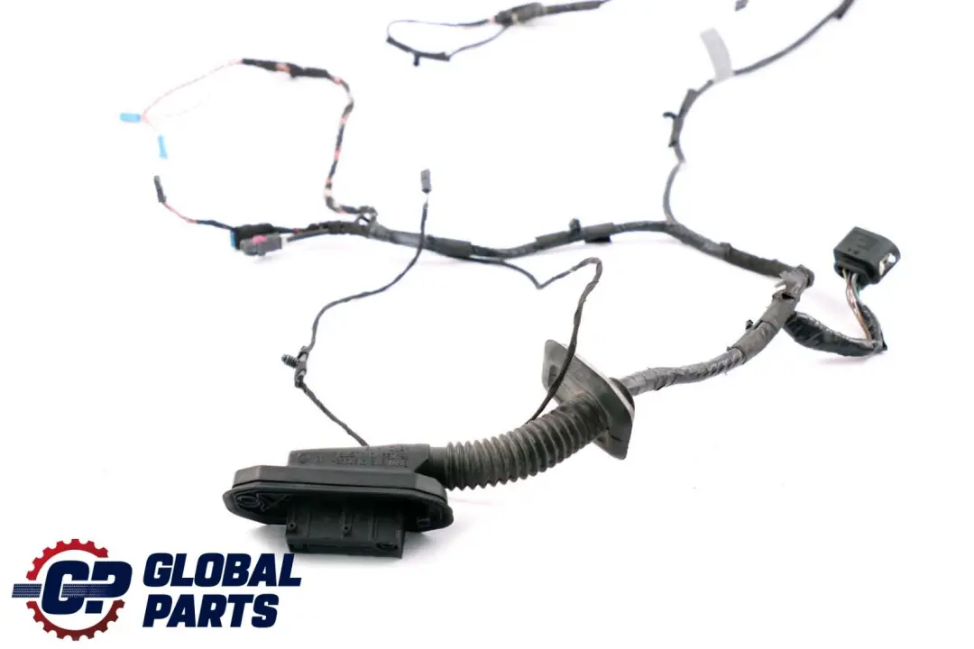 BMW X5 X6 Series E70 E71 Cable Loom Door Front Passenger Wiring Harness 6900922