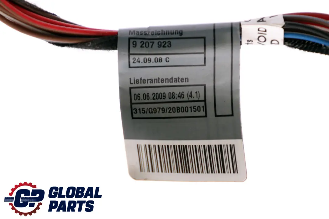 BMW Z4 Series E89 Wiring Loom Front Door Cables Cable Passenger Side 9207924