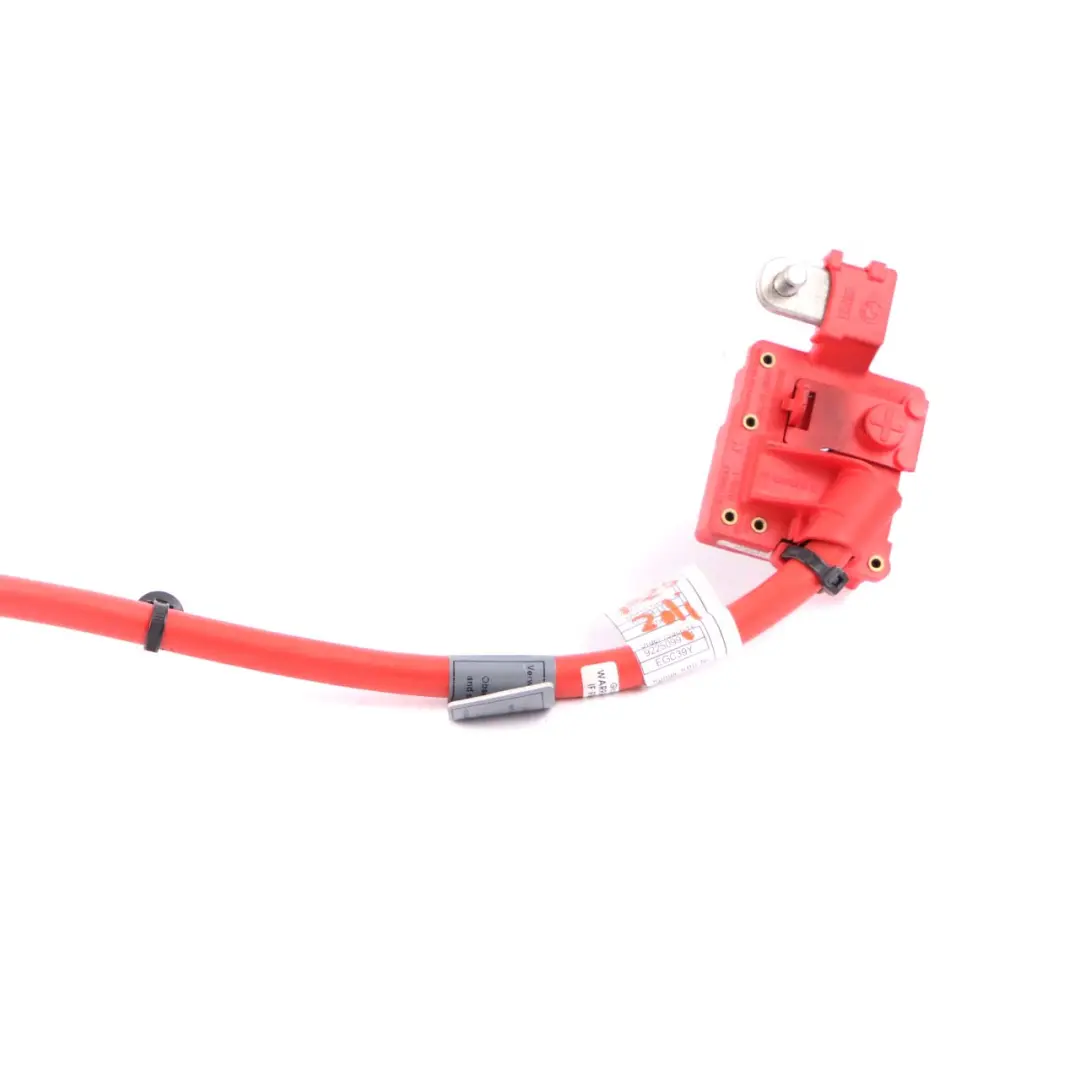 Battery Cable BMW X3 F25 Red Positive Plus Pole Blow Off 9225099