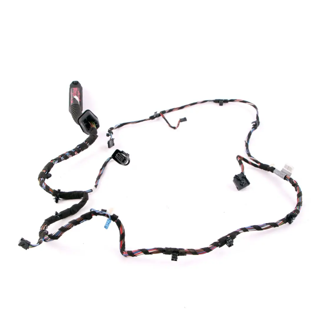 BMW Z4 E89 Driver's Side Door Wiring Harness Loom Module Carrier 9225781