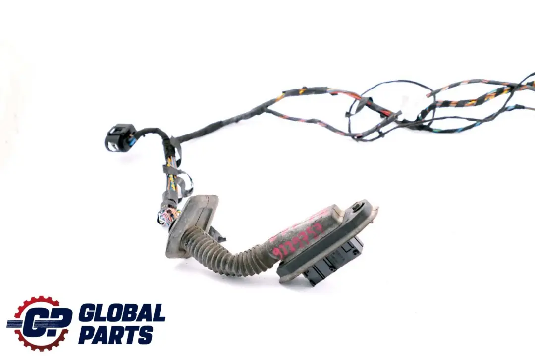 BMW X5 X6 Series E70 E71 Driver's Side Door Wiring Loom Cable Harness 9229755