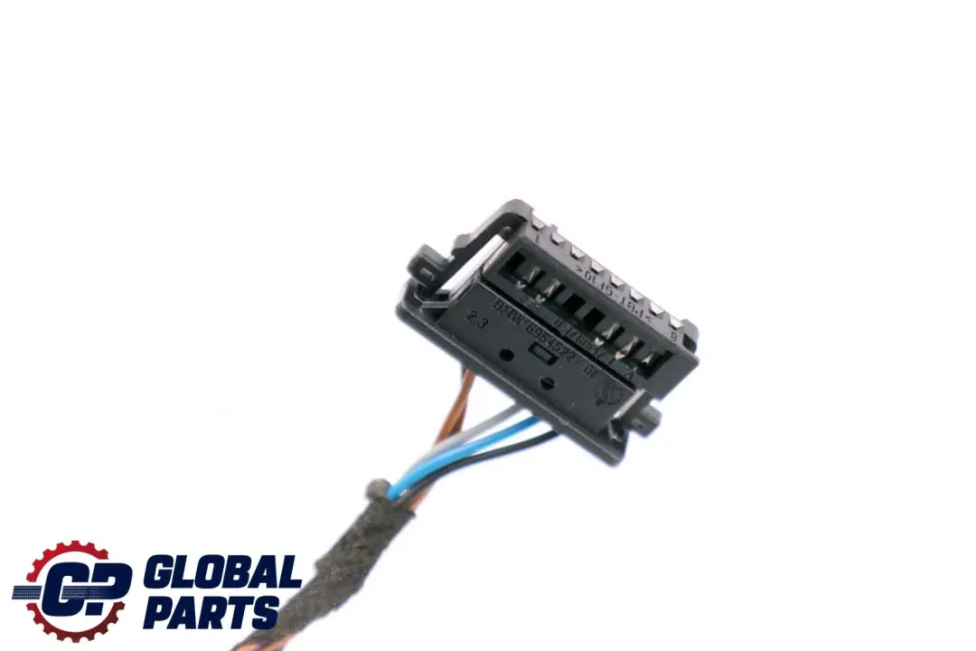 BMW X6 Series E71 Cable Loom Door Rear Left Right N/O/S Wiring Harness 9243557