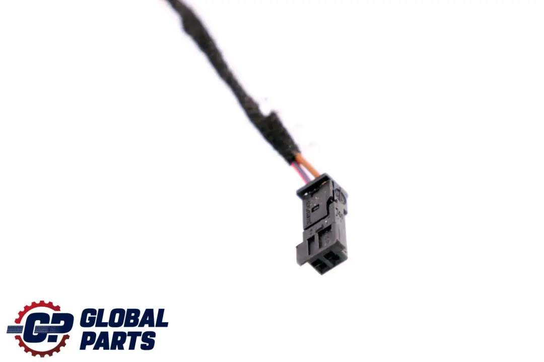 BMW X6 Series E71 Cable Loom Door Rear Left Right N/O/S Wiring Harness 9243557