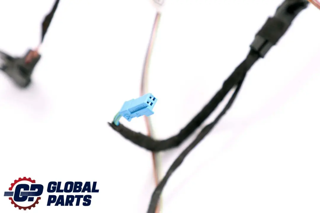 BMW X6 Series E71 Cable Loom Door Rear Left Right N/O/S Wiring Harness 9243557