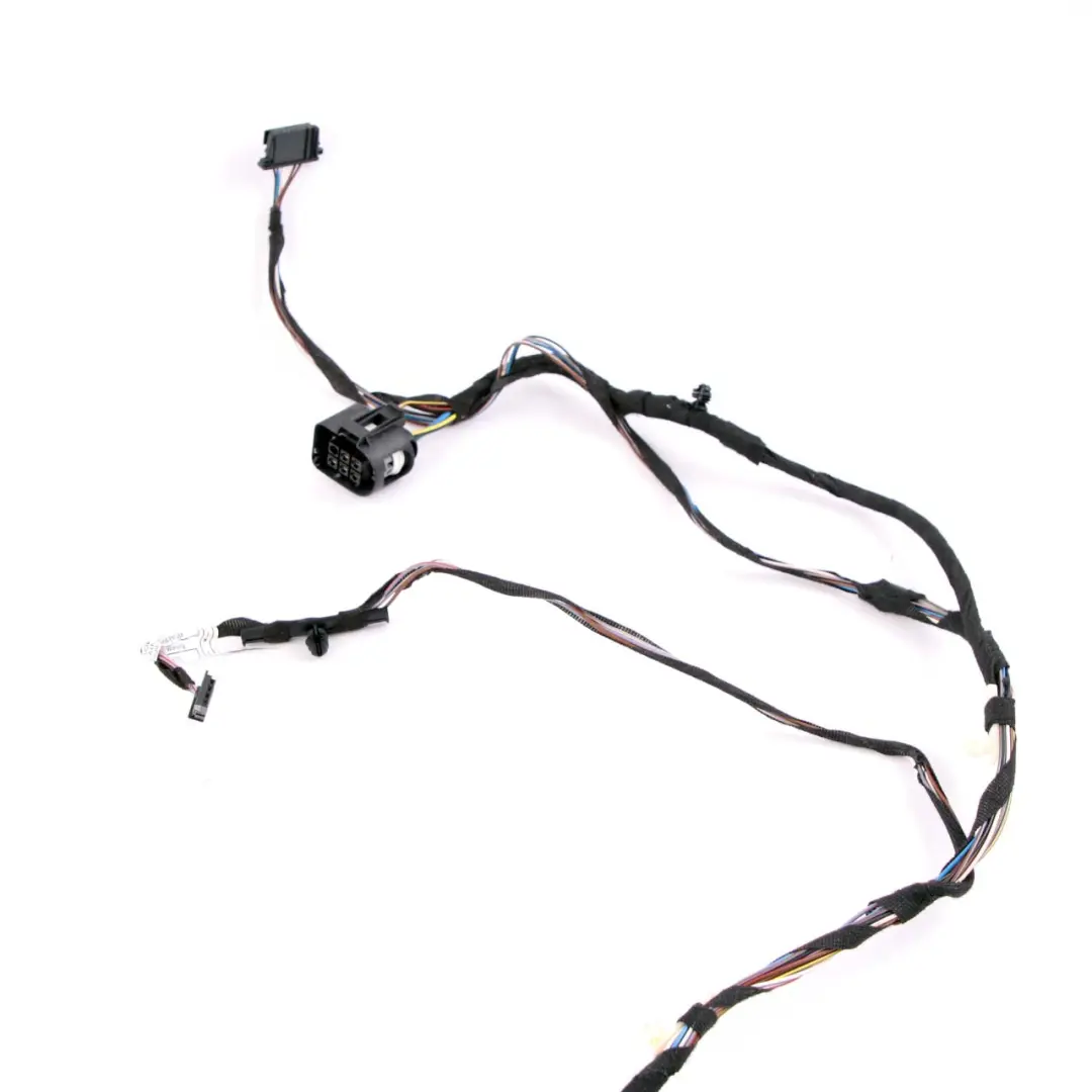 BMW X1 E84 Wiring Cable Loom Set Rear Door Right Left N/O/S 9247091