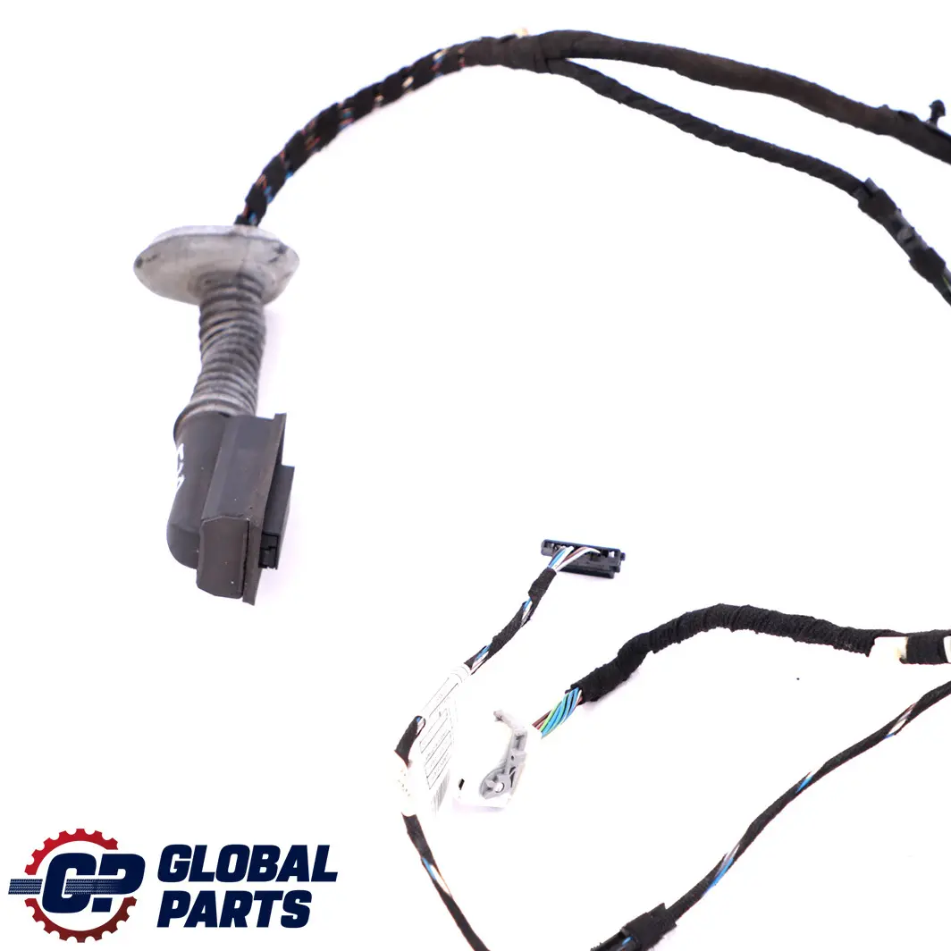 BMW F30 F31 Cable Harness Loom Door Driver Side Wiring Front Right 9259983