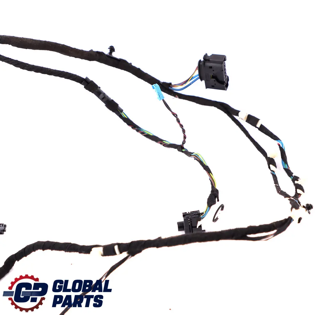 BMW F30 F31 Cable Harness Loom Door Driver Side Wiring Front Right 9259983