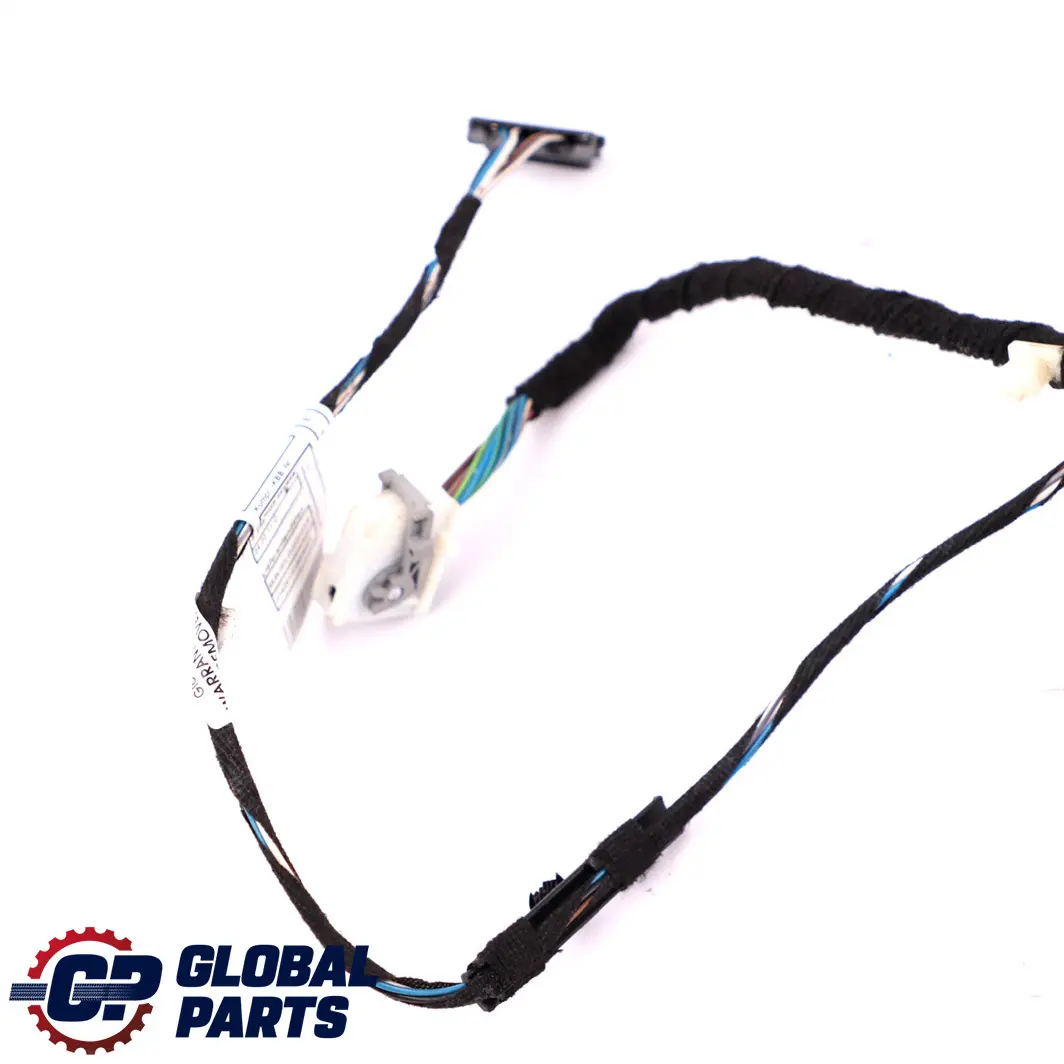 BMW F30 F31 Cable Harness Loom Door Driver Side Wiring Front Right 9259983