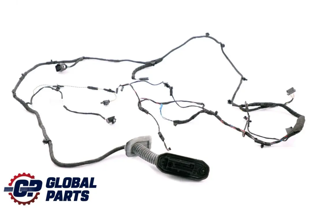 BMW F10 F11 Cable Loom Puerta Pasajero Lado Mazo De cables 9256002