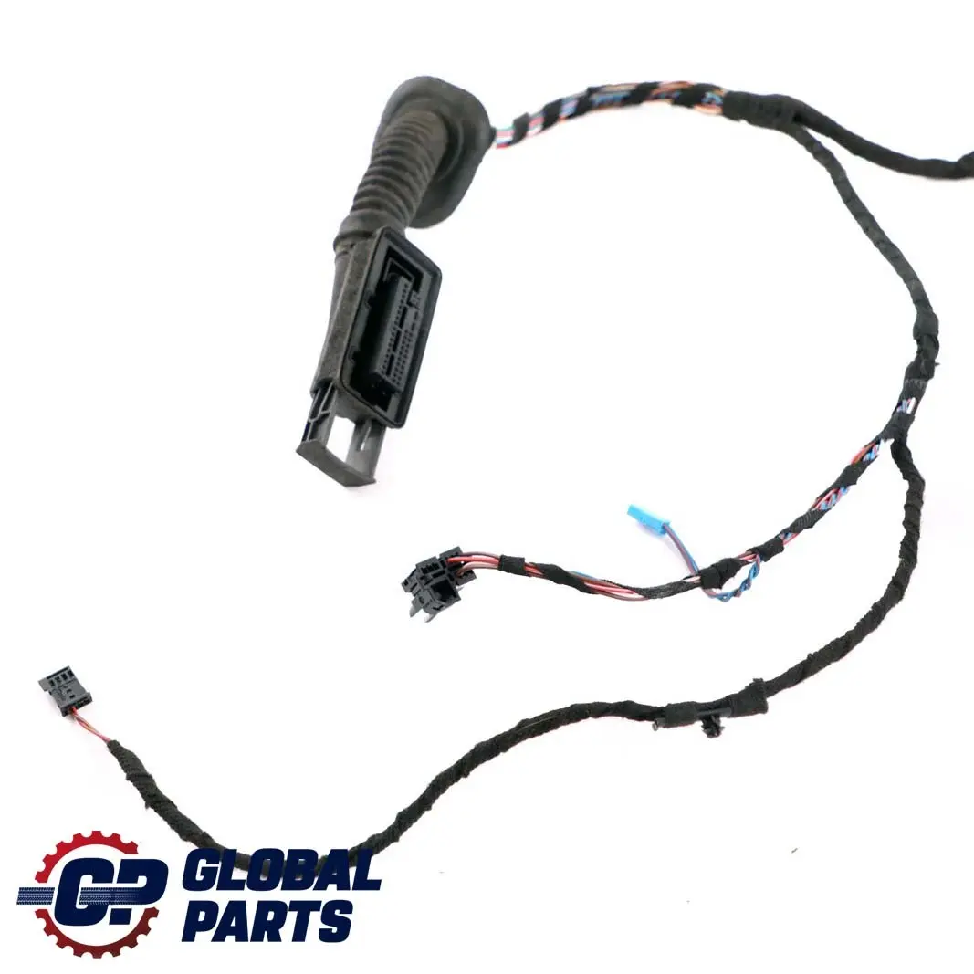 BMW 3 Series F30 LCI Cable Harness Loom Front Door Wiring Left N/S 9313636