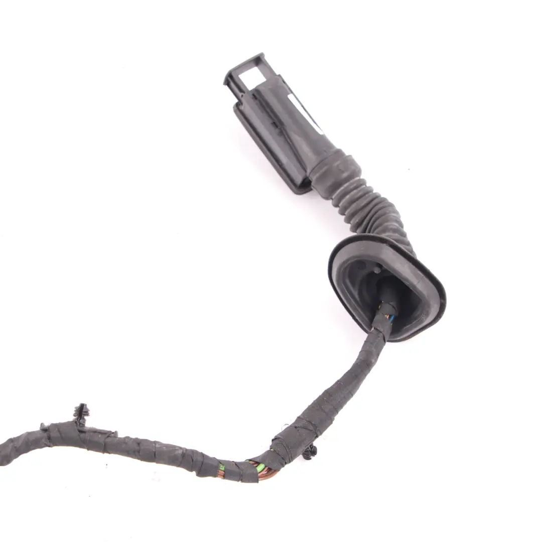 Cable Puerta BMW F36 Trasera Izquierda Derecha N/O/S Mazo De Cables 9325917