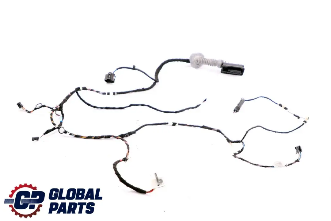 BMW 1 2 Series F21 F22 Cable Harness Loom Door Driver Side Wiring 9287431