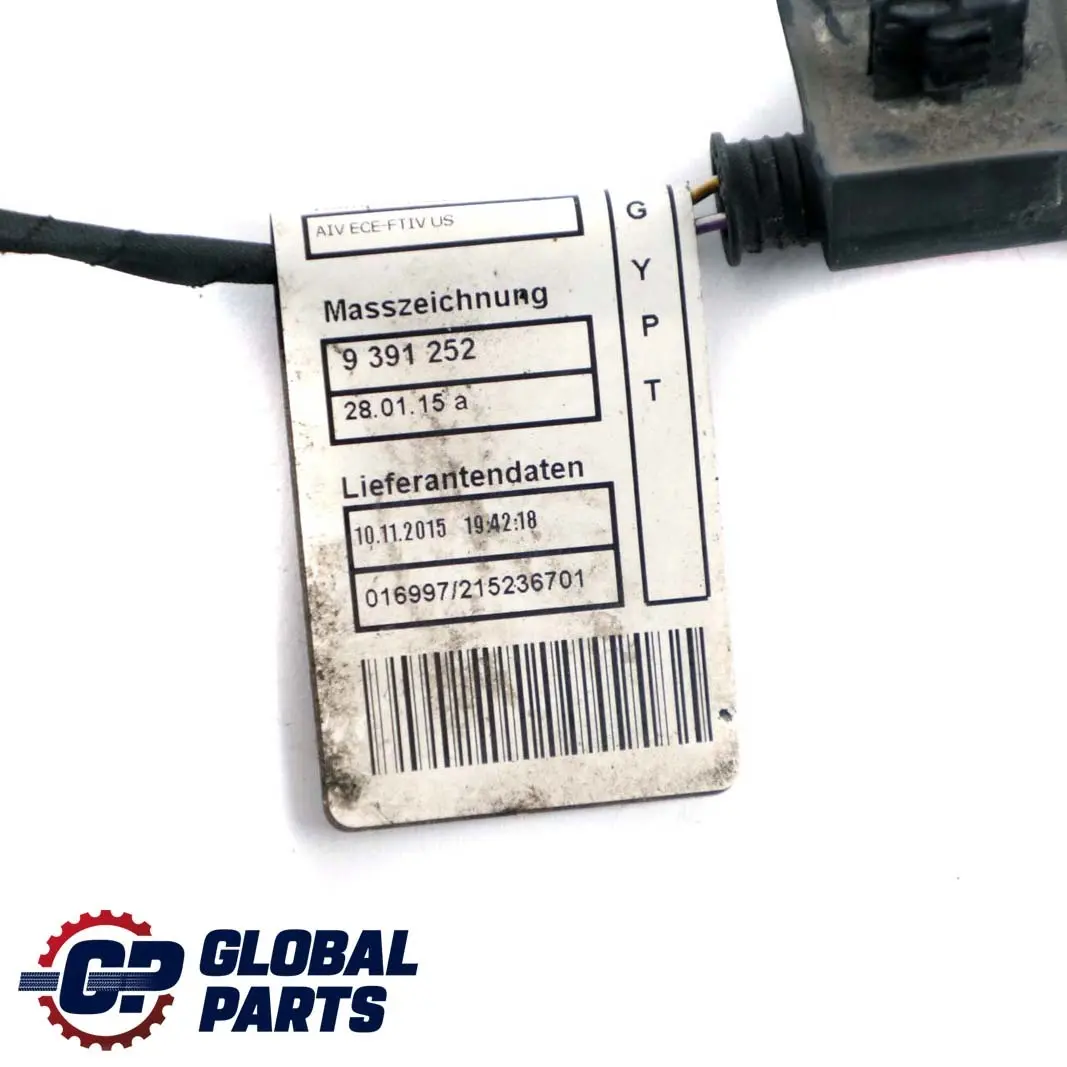 BMW F10 F11 Cableado Loom 9391253 9391252