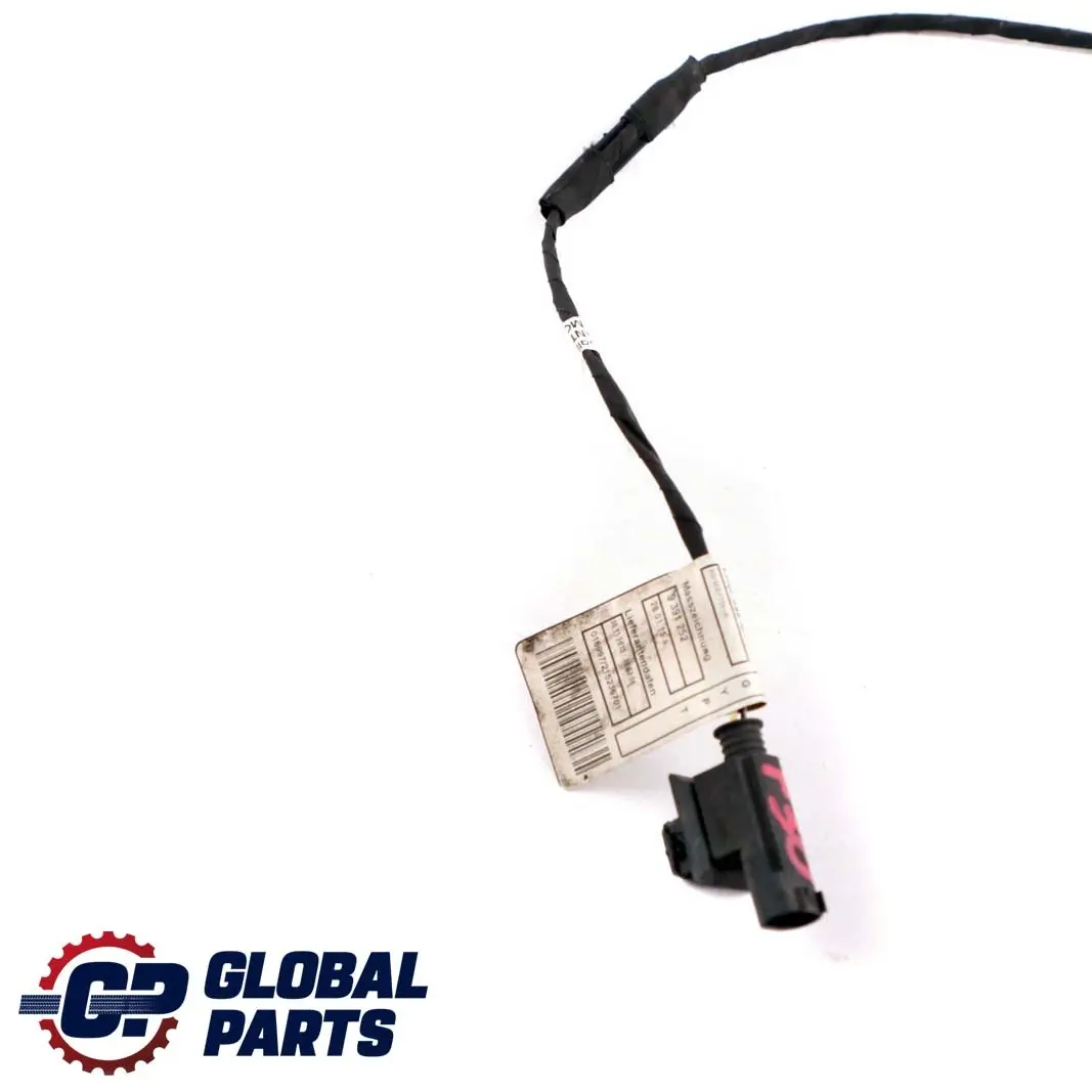 BMW F10 F11 Cableado Loom 9391253 9391252