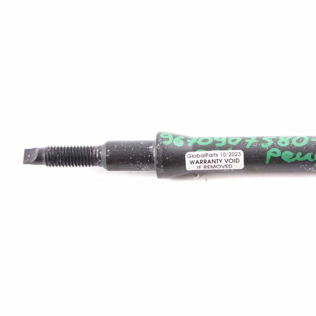 Citroen Berlingo Peugeot Partner Tool Towing Tow Hook 9670907580