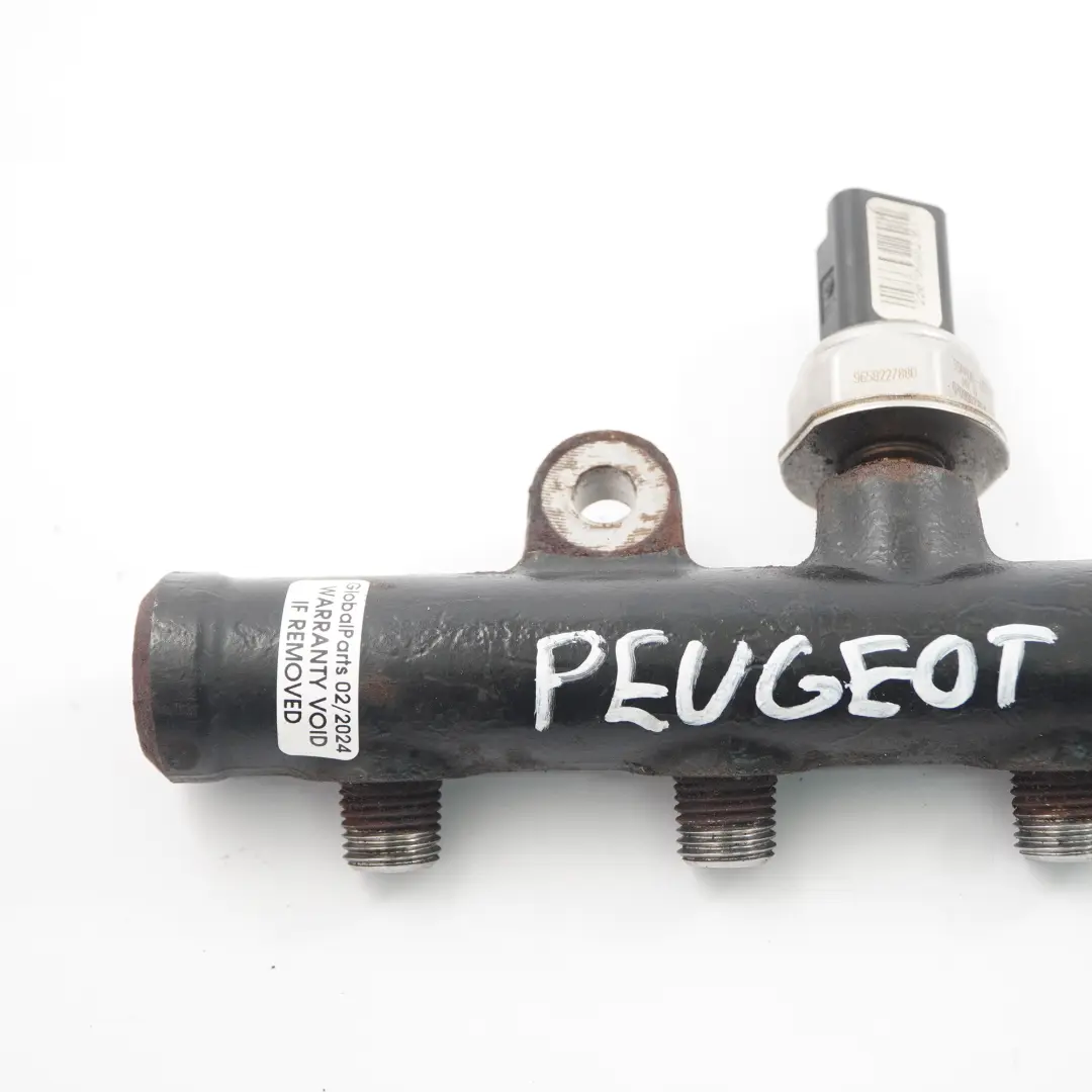 Peugeot Expert 2.0 HDI Diesel Línea raíl inyector combustible motor 9681649580