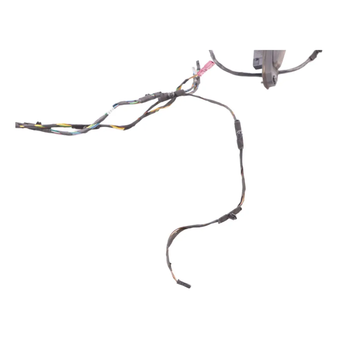 Mini Countryman R60 Door Wiring Loom Front Right O/S 9805461