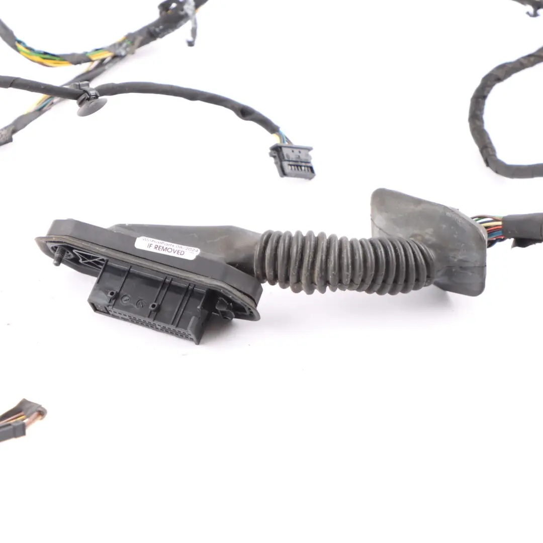 Mini F60 Countryman Door Wiring Cable Harness Loom Front Rear Right O/S 9805463w