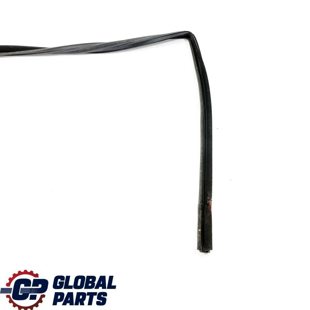 Mercedes-Benz E-Class S210 Rear Left Door N/S Window Rail Guide Seal Gasket