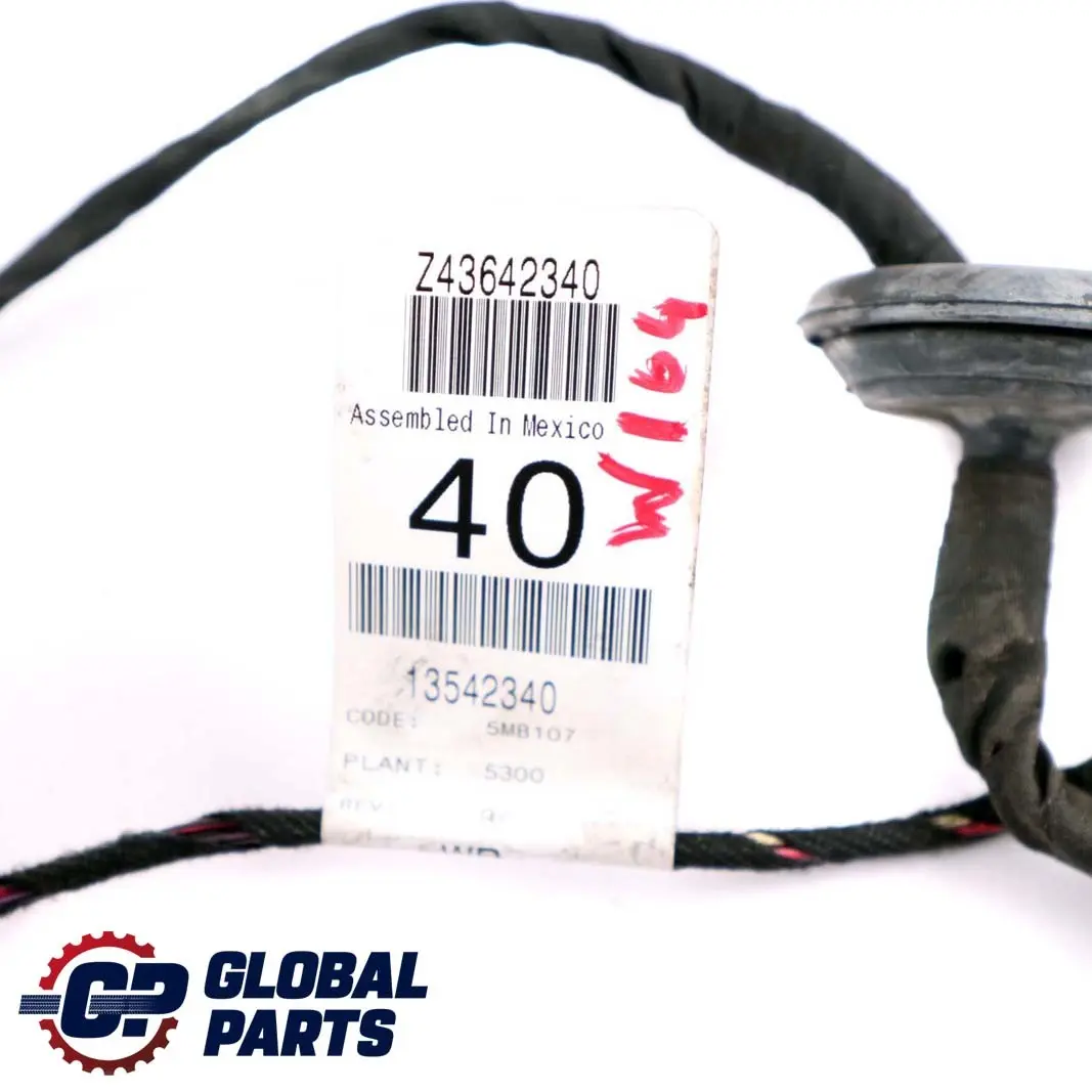 Mercedes-Benz M ML W164 1 Door Cable Harness Wiring Loom Rear Left N/S 13542340