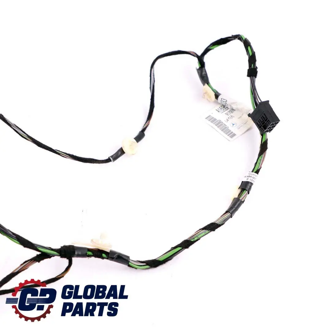 Mercedes-Benz A W169 Front Driver's Side Door Wiring Loom Harness A1695408033