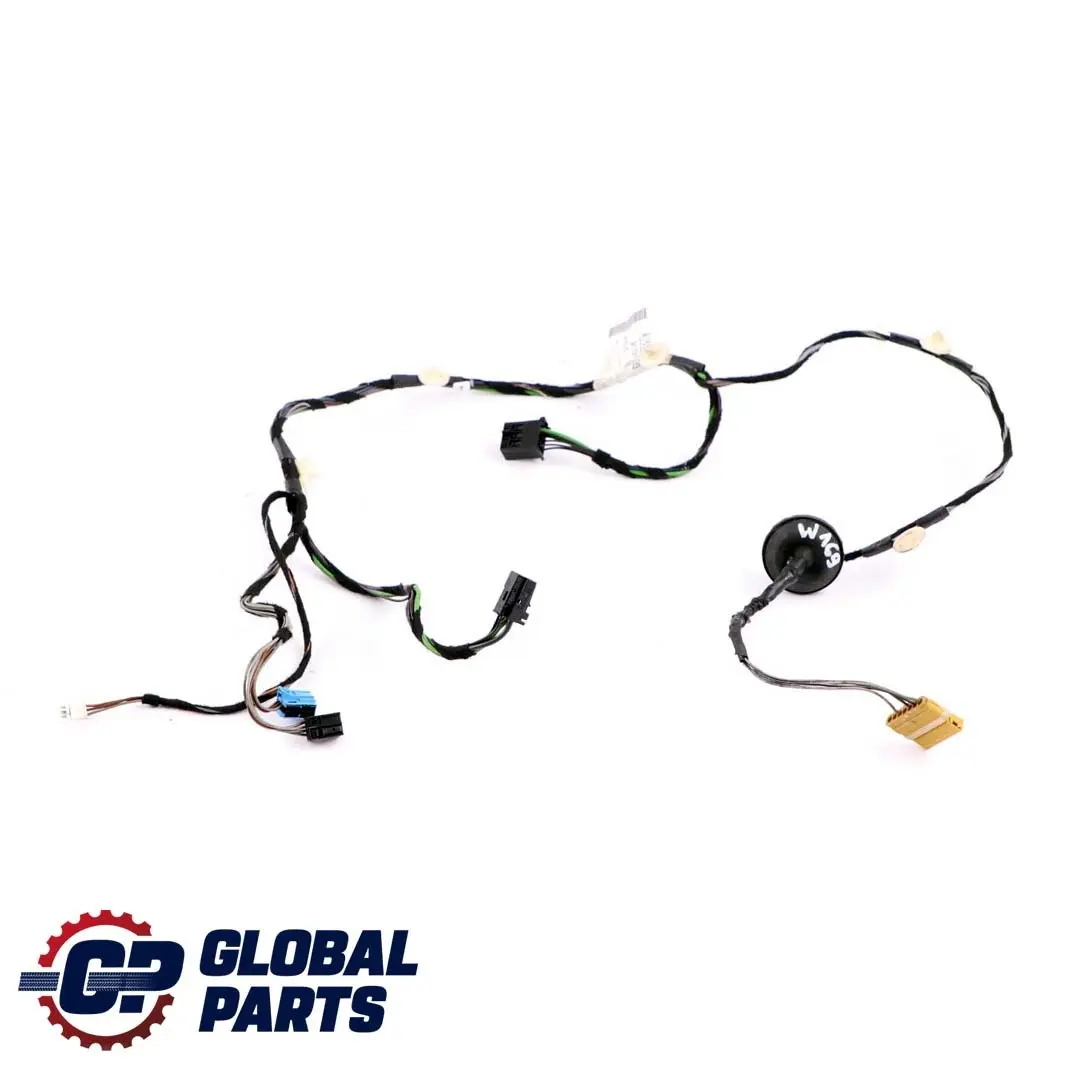 Mercedes-Benz A W169 Front Driver's Side Door Wiring Loom Harness A1695408033