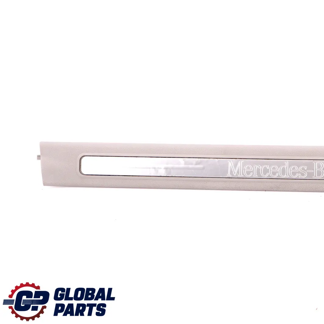 Embellecedor de umbral de puerta delantera derecha Mercedes W169 Gris